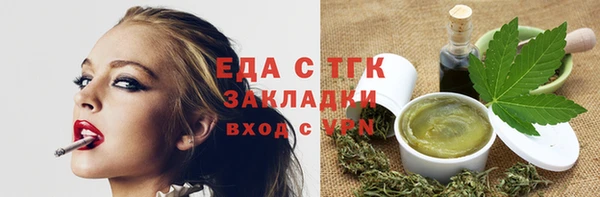 сатива Новозыбков