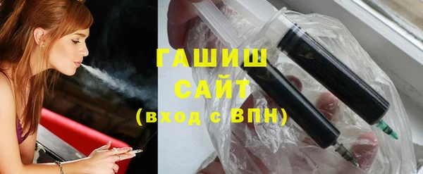 сатива Новозыбков