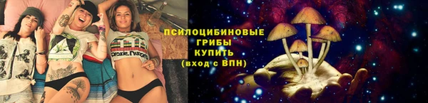2c-b Нефтегорск