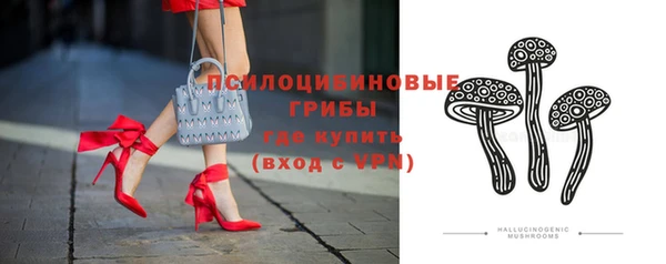 сатива Новозыбков