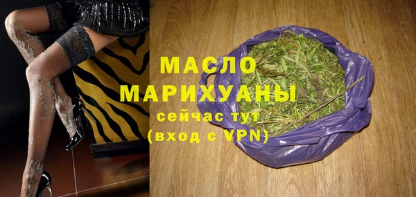 сатива Новозыбков
