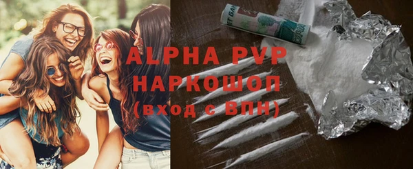 молекула духа Новодвинск