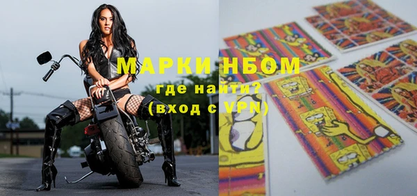 сатива Новозыбков